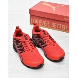Obuwie męskie Puma 379601-15 Czerwone
